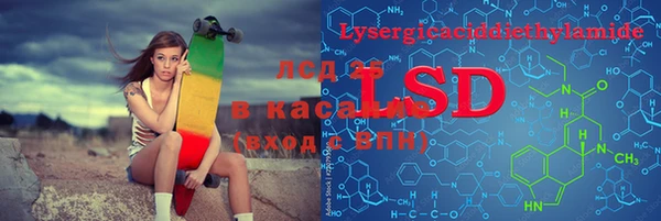 хмурый Алзамай