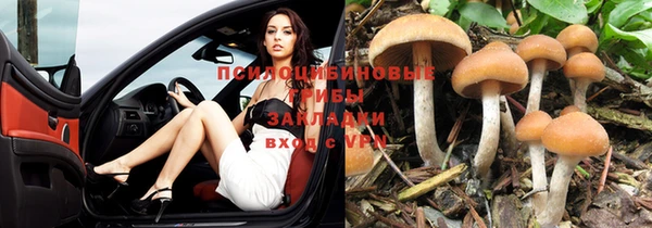 гашик Абдулино