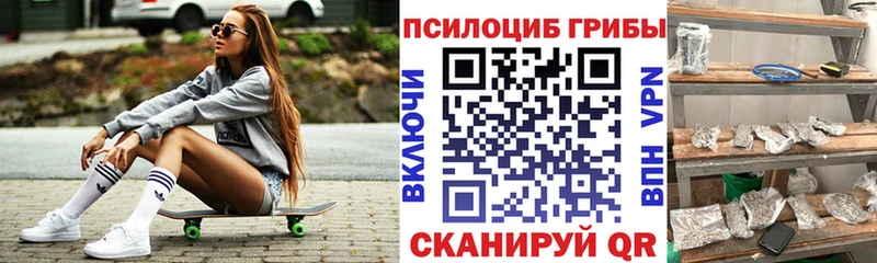 Псилоцибиновые грибы MAGIC MUSHROOMS  закладка  Барыш 